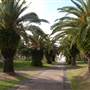 Macintosh Island Park