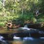 Main Range National Park
