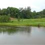 Mary River