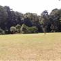 Mary Cairncross Scenic Reserve and Sanctuary