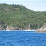 Maureens Cove (Hook Island)