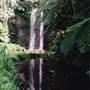 Millaa Millaa Falls
