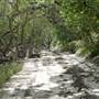 Mulgumpin (Moreton Island)