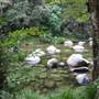 Mossman Gorge