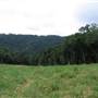 Mowbray Valley