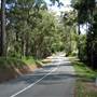 Mt Nebo Village