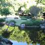 Japanese Garden, Mt Coot-tha Botanical Gardens