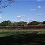 New Farm Park