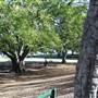 New Farm Park