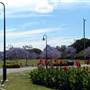 New Farm Park