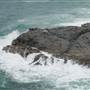 Noosa Cliffs