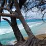 Minjeeribah (North Stradbroke Island) - Overview