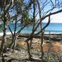 Sunshine Coast Region - Noosa National Park