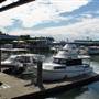 Noosa Harbour Marine Village