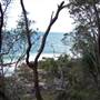 Sunshine Coast Region - Noosa National Park