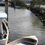 Oyster Point