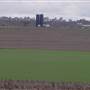 Wheat Fields