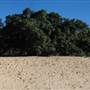 Radical Bay (Magnetic Island)