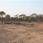 Rangelands Station