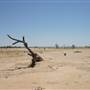 Rangelands Station