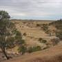 Rangelands Station