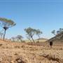 Rangelands Station