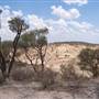 Rangelands Station