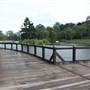 Gold Coast Regional Botanic Gardens - Rosser Park