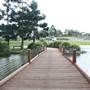 Gold Coast Regional Botanic Gardens - Rosser Park