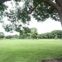 Gold Coast Regional Botanic Gardens - Rosser Park