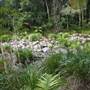 Silky Oaks Lodge - Mossman