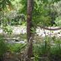 Silky Oaks Lodge - Mossman