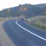 Somerset Dam - Roads