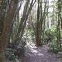 Springbrook National Park