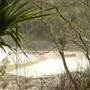 Noosa - Tea Tree Beach Area
