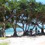 Tallebudgera Creek