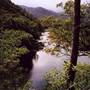 Tully River