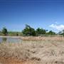 Tully River