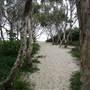 Minjeeribah (North Stradbroke Island) - Home Beach