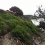 Gorge Walk, Point Lookout