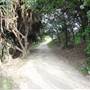 Gorge Walk, Point Lookout