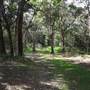 Coochiemudlo Island