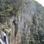 Purling Brook Falls - Springbrook National Park