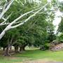 Queens Park, Upper Area