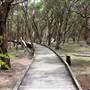 Purga Nature Reserve