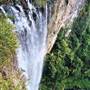 Purling Brook Falls - Springbrook National Park