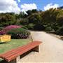 Japanese Garden - University of Southern Queensland