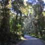 Winding Scenic Mountain Road - National Park