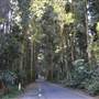 Winding Scenic Mountain Road - National Park