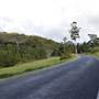 Winding Scenic Mountain Road - National Park